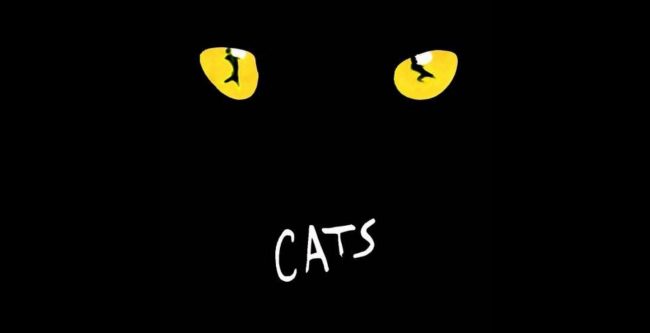 CATS – News Page